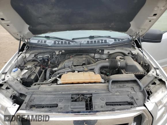 ✅ 2017 Ford F-150 XL • VIN: 1FTEW1CP8HKC85551 • Лот: 42803535. Опубликован ранее на Copart с пробегом 238 762 миль. Бесплатный доступ к архиву аукционных продаж из США и подробный отчёт об истории автомобиля на DreamBid. Изображение 11.