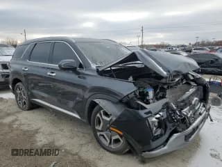 ✅ 2023 Hyundai Palisade Limited • VIN: KM8R5DGE8PU623379 • Лот: 82906414. Опубликован ранее на Copart с пробегом 33 220 миль. Бесплатный доступ к архиву аукционных продаж из США и подробный отчёт об истории автомобиля на DreamBid. Изображение 4.