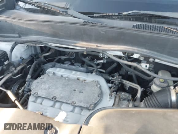 ✅ 2009 Honda Pilot EX-L • VIN: 5FNYF485X9B034552 • Лот: 43718486. Опубликован ранее на IAAI с пробегом 158 453 миль. Бесплатный доступ к архиву аукционных продаж из США и подробный отчёт об истории автомобиля на DreamBid. Изображение 10.