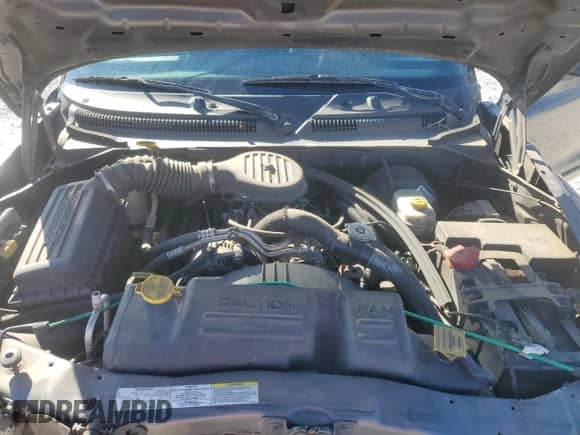 2003 Dodge Dakota SLT with VIN 1D7HL42X13S367631, listed as a Copart auction lot 47706795 with 202,616 mi miles and Salvage title. Bid and sale history available at DreamBid. Image 13.