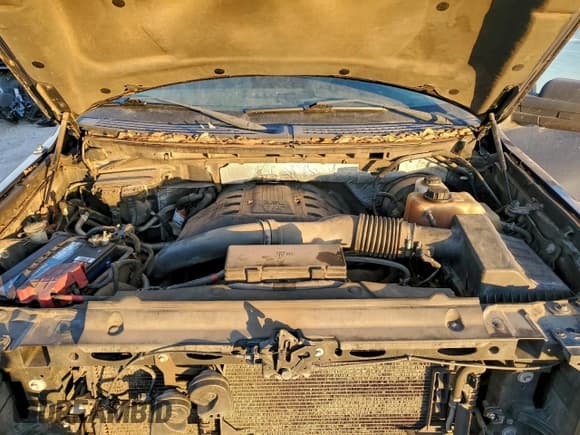 ✅ 2011 Ford F-150 XL • VIN: 1FTFX1CT1BFC72140 • Лот: 96550805. Опубликован ранее на Copart с пробегом 243 597 миль. Бесплатный доступ к архиву аукционных продаж из США и подробный отчёт об истории автомобиля на DreamBid. Изображение 11.