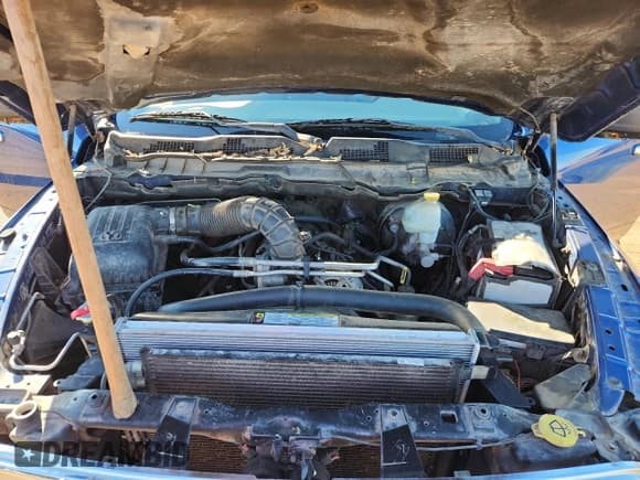 ✅ 2009 Dodge 1500 SLT • VIN: 1D3HV13T69S744162 • Lot: 82631645. Listed on Copart with 272,538 mi. Free auction sales archive from the USA and detailed vehicle history report at DreamBid. Image 11.