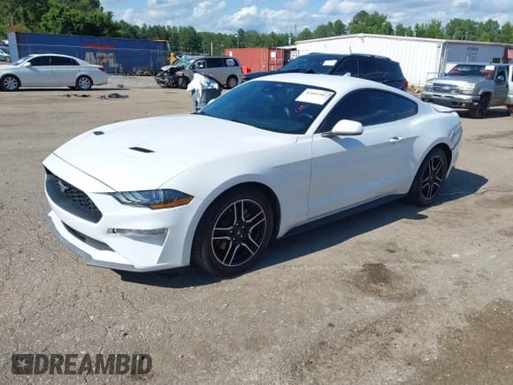 ✅ 2023 Ford Mustang EcoBoost • VIN: 1FA6P8TH3P5105186 • Лот: 42443307. Опубликован ранее на IAAI с пробегом 51 595 миль. Бесплатный доступ к архиву аукционных продаж из США и подробный отчёт об истории автомобиля на DreamBid. Изображение 17.