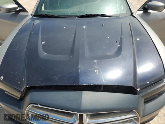 ✅ 2011 Dodge Charger Rallye • VIN: 2B3CL3CG8BH534667 • Лот: 61288495. Опубликован ранее на Copart с пробегом 203 001 миль. Бесплатный доступ к архиву аукционных продаж из США и подробный отчёт об истории автомобиля на DreamBid. Изображение 7.