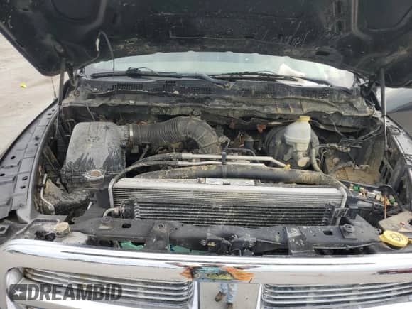 2009 Dodge 1500 SLT z VIN 1D3HV13T59S738496, wystawiony jako Copart lot #70374654 z przebiegiem Nie podano mil oraz Czysty tytuł • Clean title. Historia ofert i sprzedaży dostępna na DreamBid. Obrazek 11.