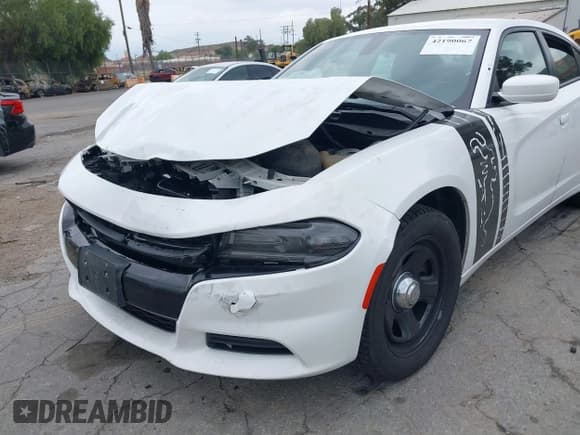 ✅ 2019 Dodge Charger Police • VIN: 2C3CDXAG2KH748418 • Lot: 42190067. Listed on IAAI with 82,407 mi. Free auction sales archive from the USA and detailed vehicle history report at DreamBid. Image 6.