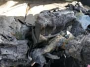 ✅ 2018 Chevrolet Volt LT • VIN: 1G1RC6S55JU109342 • Lot: 69283314. Wystawiony na Copart z przebiegiem Nie podano. Bezpłatny archiwum sprzedaży aukcyjnych z USA i szczegółowy raport historii pojazdu na DreamBid. Zdjęcie 9.