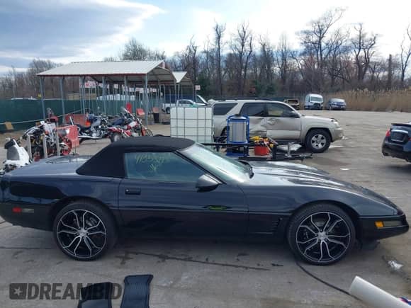 ✅ 1995 Chevrolet Corvette • VIN: 1G1YY32P3S5103855 • Lot: 41853193. Wystawiony na IAAI z przebiegiem 71 926 mil. Bezpłatny archiwum sprzedaży aukcyjnych z USA i szczegółowy raport historii pojazdu na DreamBid. Zdjęcie 13.