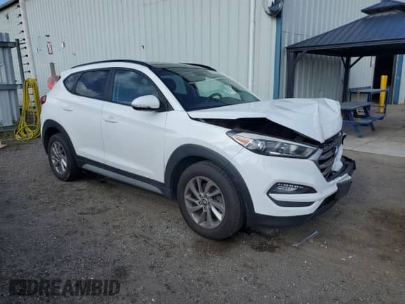 2018 Hyundai Tucson SEL with VIN KM8J33A45JU738168, listed as a Copart auction lot 87031565 with 176,035 mi miles and Salvage title. Bid and sale history available at DreamBid. Image 4.