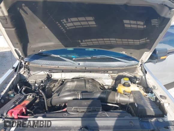 ✅ 2014 Ford F-150 XL • VIN: 1FTFW1ETXEKG03129 • Lot: 42909900. Listed on IAAI with Not provided. Free auction sales archive from the USA and detailed vehicle history report at DreamBid. Image 10.