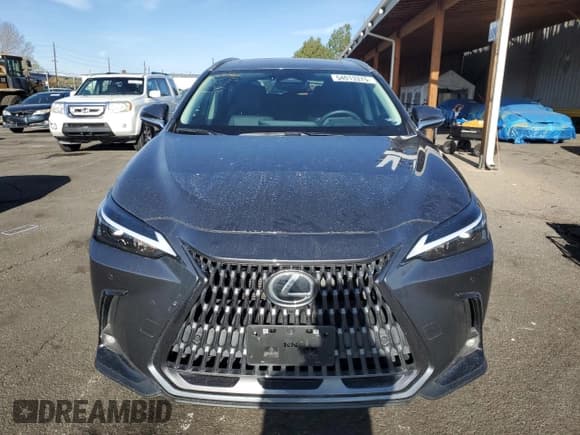 ✅ 2024 Lexus NX 350h Premium • VIN: 2T2GKCEZ9RC019792 • Lot: 54013375. Listed on Copart with 12,933 mi. Free auction sales archive from the USA and detailed vehicle history report at DreamBid. Image 5.