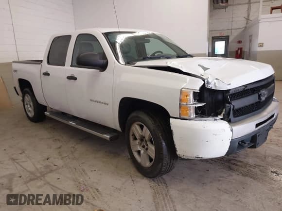 ✅ 2010 Chevrolet Silverado 1500 Work Truck • VIN: 3GCRKPE32AG111157 • Lot: 41078646. Listed on IAAI with 224,216 mi. Free auction sales archive from the USA and detailed vehicle history report at DreamBid. Image 1.