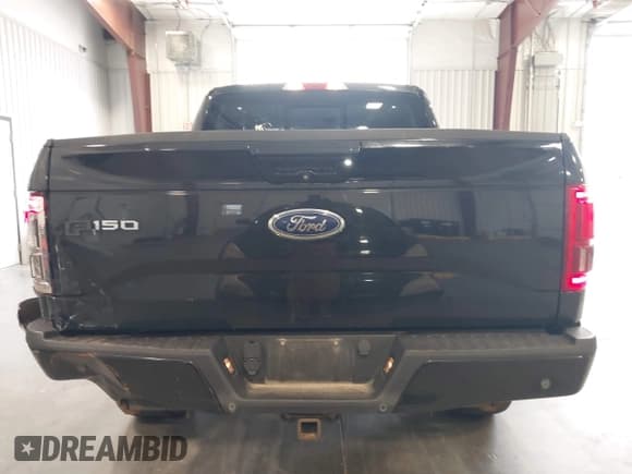✅ 2015 Ford F-150 XLT • VIN: 1FTEW1EG6FFA45336 • Lot: 42697508. Wystawiony na IAAI z przebiegiem 128 887 mil. Bezpłatny archiwum sprzedaży aukcyjnych z USA i szczegółowy raport historii pojazdu na DreamBid. Zdjęcie 16.