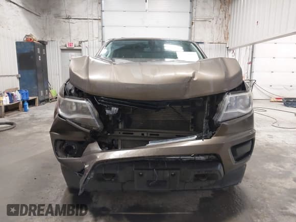 ✅ 2015 Chevrolet Colorado 4WD WT • VIN: 1GCGTAE36F1144900 • Лот: 43129095. Опубликован ранее на IAAI с пробегом 224 181 миль. Бесплатный доступ к архиву аукционных продаж из США и подробный отчёт об истории автомобиля на DreamBid. Изображение 13.