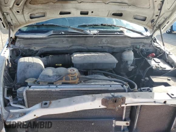 ✅ 2002 Dodge 1500 • VIN: 1D7HA16K32J224753 • Лот: 79841324. Опубликован ранее на Copart с пробегом 117 715 миль. Бесплатный доступ к архиву аукционных продаж из США и подробный отчёт об истории автомобиля на DreamBid. Изображение 11.