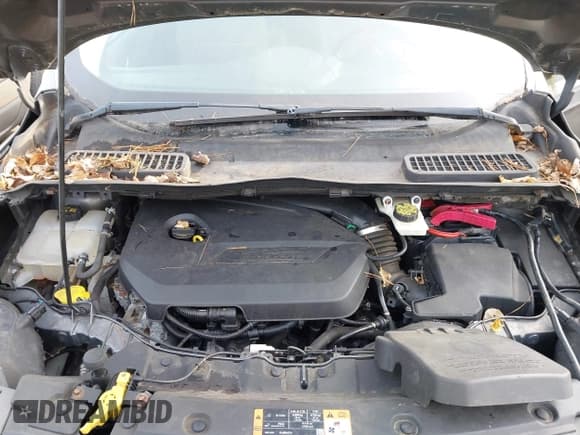 ✅ 2014 Ford Escape SE • VIN: 1FMCU9GX4EUC70031 • Лот: 43725499. Опубликован ранее на IAAI с пробегом 134 998 миль. Бесплатный доступ к архиву аукционных продаж из США и подробный отчёт об истории автомобиля на DreamBid. Изображение 10.