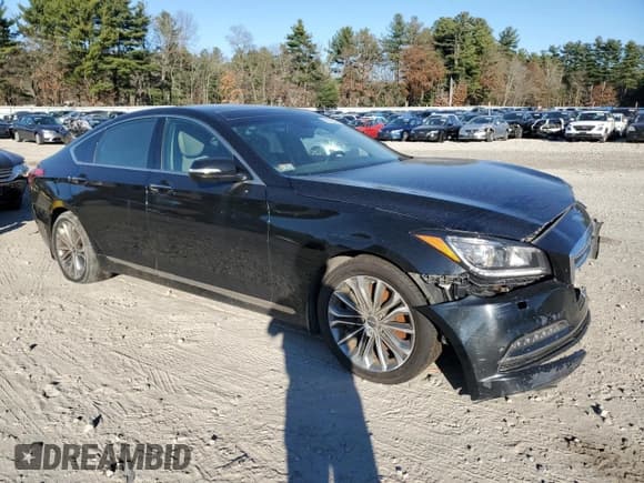 ✅ 2016 Hyundai Genesis 3.8L • VIN: KMHGN4JE0GU144289 • Lot: 43633815. Wystawiony na Copart z przebiegiem 87 118 mil. Bezpłatny archiwum sprzedaży aukcyjnych z USA i szczegółowy raport historii pojazdu na DreamBid. Zdjęcie 4.
