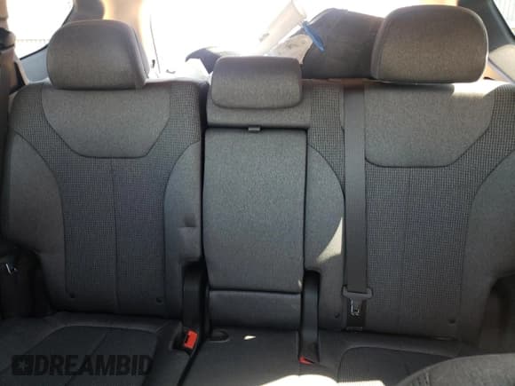 ✅ 2020 Hyundai Santa Fe SE • VIN: 5NMS2CAD3LH249919 • Lot: 45285123. Wystawiony na Copart z przebiegiem 41 209 mil. Bezpłatny archiwum sprzedaży aukcyjnych z USA i szczegółowy raport historii pojazdu na DreamBid. Zdjęcie 10.