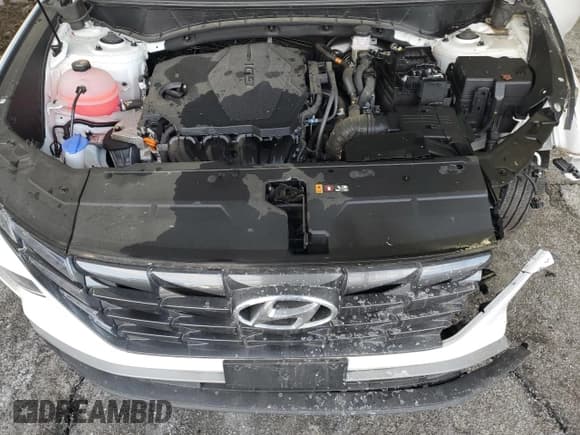 ✅ 2024 Hyundai Tucson SEL • VIN: 5NMJBCDEXRH398370 • Lot: 87601605. Wystawiony na Copart z przebiegiem 11 932 mil. Bezpłatny archiwum sprzedaży aukcyjnych z USA i szczegółowy raport historii pojazdu na DreamBid. Zdjęcie 12.