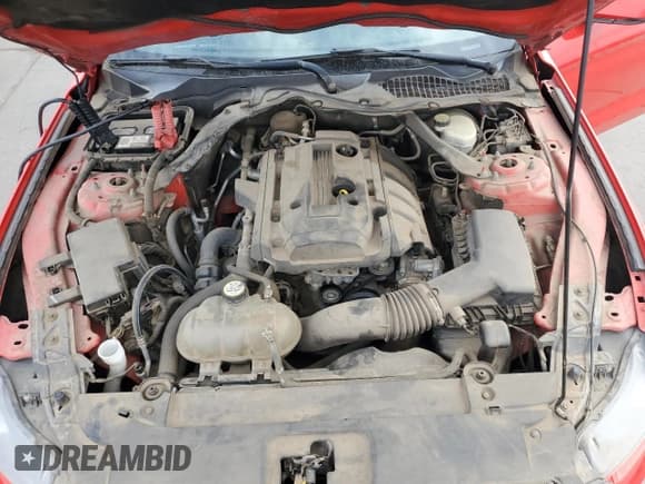 ✅ 2017 Ford Mustang EcoBoost Premium • VIN: 1FATP8UH4H5205932 • Lot: 81948425. Listed on Copart with 142,305 mi. Free auction sales archive from the USA and detailed vehicle history report at DreamBid. Image 11.