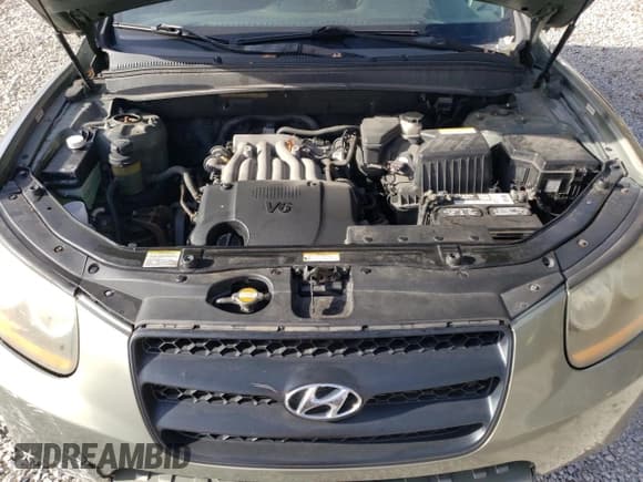 ✅ 2008 Hyundai Santa Fe GLS • VIN: 5NMSG13D18H218582 • Lot: 76955374. Listed on Copart with 163,987 mi. Free auction sales archive from the USA and detailed vehicle history report at DreamBid. Image 13.