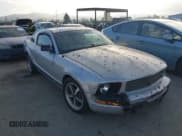 ✅ 2006 Ford Mustang Standard • VIN: 1ZVHT80N365232301 • Lot: 43919000. Listed on IAAI with Not provided. Free auction sales archive from the USA and detailed vehicle history report at DreamBid. Image 6.