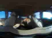 2011 Chevrolet Tahoe LTZ с VIN 1GNSKCE03BR290477, выставлен на аукционе IAAI как лот 43344748 с пробегом 241 167 миль миль и . История ставок и продаж доступна на DreamBid. Изображение 18.