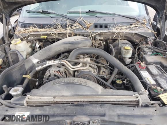 ✅ 1999 Dodge Durango • VIN: 1B4HS28Z2XF671119 • Lot: 43673334. Wystawiony na IAAI z przebiegiem 157 418 mil. Bezpłatny archiwum sprzedaży aukcyjnych z USA i szczegółowy raport historii pojazdu na DreamBid. Zdjęcie 10.