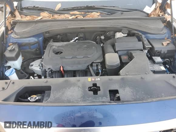 2020 Hyundai Santa Fe SE z VIN 5NMS2CAD9LH233126, wystawiony jako Copart lot #70553812 z przebiegiem 13 788 mil mil oraz . Historia ofert i sprzedaży dostępna na DreamBid. Obrazek 11.