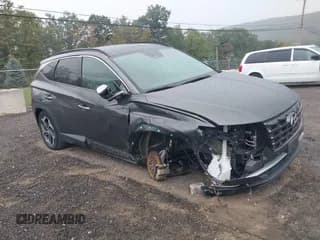 ✅ 2022 Hyundai Tucson Limited • VIN: 5NMJECAE9NH054535 • Lot: 43214155. Wystawiony na IAAI z przebiegiem 43 760 mil. Bezpłatny archiwum sprzedaży aukcyjnych z USA i szczegółowy raport historii pojazdu na DreamBid. Zdjęcie 1.