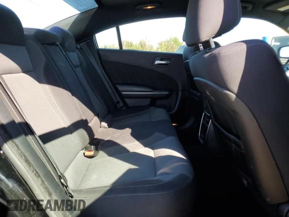 ✅ 2015 Dodge Charger SXT • VIN: 2C3CDXJG9FH739141 • Lot: 85901705. Wystawiony na Copart z przebiegiem 97 340 mil. Bezpłatny archiwum sprzedaży aukcyjnych z USA i szczegółowy raport historii pojazdu na DreamBid. Zdjęcie 10.