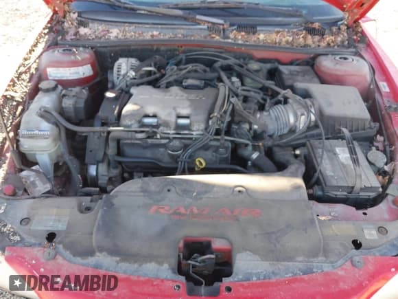 ✅ 1999 Pontiac Grand Am GT1 • VIN: 1G2NW52E9XM899328 • Lot: 43833297. Listed on IAAI with 183,300 mi. Free auction sales archive from the USA and detailed vehicle history report at DreamBid. Image 10.