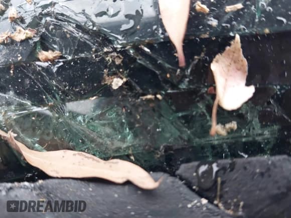 ✅ 2014 Ford Escape SE • VIN: 1FMCU9G9XEUA97228 • Lot: 43735063. Listed on IAAI with 180,870 mi. Free auction sales archive from the USA and detailed vehicle history report at DreamBid. Image 9.