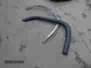 2010 Dodge 1500 Sport с VIN 1D7RV1CT8AS136330, выставлен на аукционе IAAI как лот 42013409 с пробегом 200 420 миль миль и . История ставок и продаж доступна на DreamBid. Изображение 12.