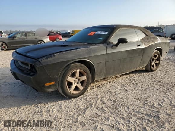 ✅ 2010 Dodge Challenger SE • VIN: 2B3CJ4DV2AH184041 • Lot: 78199344. Wystawiony na Copart z przebiegiem 225 838 mil. Bezpłatny archiwum sprzedaży aukcyjnych z USA i szczegółowy raport historii pojazdu na DreamBid. Zdjęcie 1.