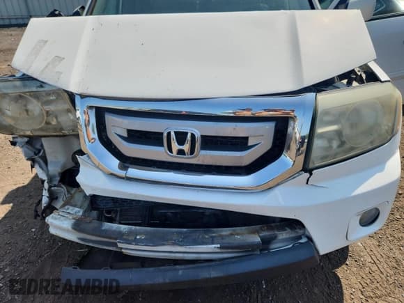 ✅ 2009 Honda Pilot EX-L • VIN: 5FNYF48619B044685 • Лот: 67290955. Опубликован ранее на Copart с пробегом 183 514 миль. Бесплатный доступ к архиву аукционных продаж из США и подробный отчёт об истории автомобиля на DreamBid. Изображение 12.
