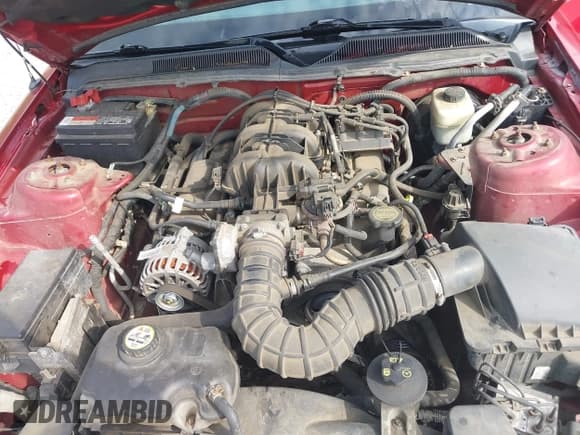 ✅ 2006 Ford Mustang Standard • VIN: 1ZVHT80N265249588 • Lot: 43191688. Wystawiony na IAAI z przebiegiem 148 871 mil. Bezpłatny archiwum sprzedaży aukcyjnych z USA i szczegółowy raport historii pojazdu na DreamBid. Zdjęcie 10.