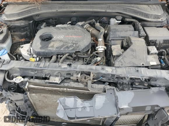 ✅ 2019 Hyundai Santa Fe Limited • VIN: 5NMS53AA3KH119523 • Lot: 43383034. Wystawiony na Copart z przebiegiem 43 070 mil. Bezpłatny archiwum sprzedaży aukcyjnych z USA i szczegółowy raport historii pojazdu na DreamBid. Zdjęcie 12.