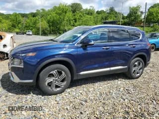 ✅ 2021 Hyundai Santa Fe SEL • VIN: 5NMS6DAJ6MH318068 • Lot: 56244374. Wystawiony na Copart z przebiegiem 46 200 mil. Bezpłatny archiwum sprzedaży aukcyjnych z USA i szczegółowy raport historii pojazdu na DreamBid. Zdjęcie 1.
