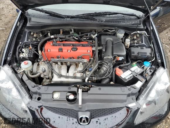 ✅ 2006 Acura RSX Type S • VIN: JH4DC53076S014796 • Lot: 57726635. Wystawiony na Copart z przebiegiem 55 175 mil. Bezpłatny archiwum sprzedaży aukcyjnych z USA i szczegółowy raport historii pojazdu na DreamBid. Zdjęcie 11.