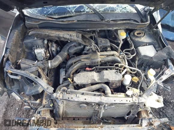 2014 Subaru Forester 2.5i with VIN JF2SJAACXEH413526, listed as a IAAI auction lot 43518240 with 173,866 mi miles and . Bid and sale history available at DreamBid. Image 10.