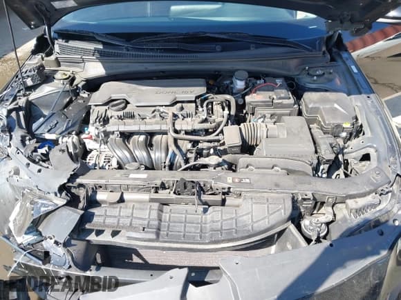 ✅ 2024 Hyundai Elantra SEL • VIN: KMHLM4DG4RU804349 • Lot: 43345019. Listed on IAAI with 35,484 mi. Free auction sales archive from the USA and detailed vehicle history report at DreamBid. Image 10.