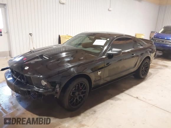 ✅ 2009 Ford Mustang GT • VIN: 1ZVHT82HX95119182 • Лот: 41345075. Опубликован ранее на IAAI с пробегом 145 202 миль. Бесплатный доступ к архиву аукционных продаж из США и подробный отчёт об истории автомобиля на DreamBid. Изображение 2.