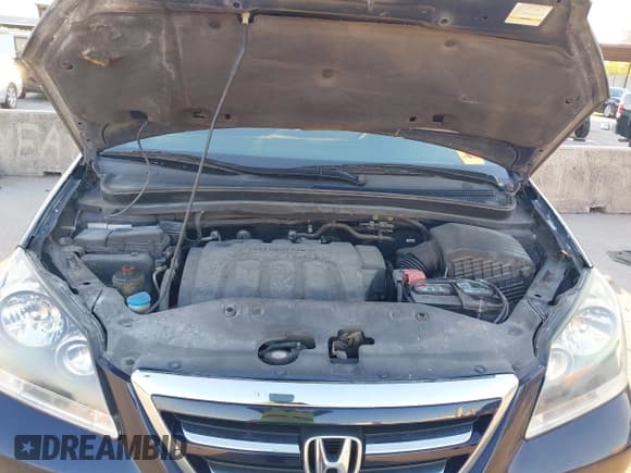 ✅ 2006 Honda Odyssey EX • VIN: 5FNRL38476B061041 • Лот: 43638518. Опубликован ранее на IAAI с пробегом 134 750 миль. Бесплатный доступ к архиву аукционных продаж из США и подробный отчёт об истории автомобиля на DreamBid. Изображение 10.