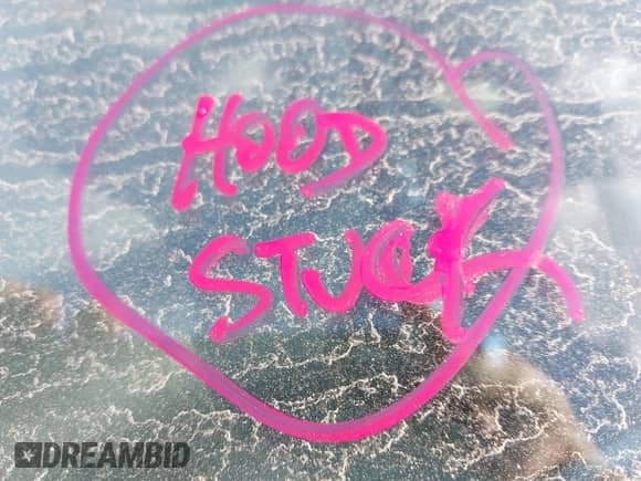 2020 Chevrolet Malibu LT с VIN 1G1ZD5ST3LF109983, выставлен на аукционе IAAI как лот 42958053 с пробегом Не указан миль и . История ставок и продаж доступна на DreamBid. Изображение 10.