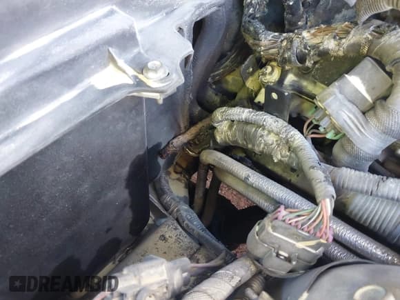 ✅ 2011 Cadillac CTS Premium • VIN: 1G6DP1EDXB0106346 • Lot: 41349978. Listed on IAAI with Not provided. Free auction sales archive from the USA and detailed vehicle history report at DreamBid. Image 13.