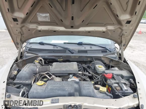 ✅ 2002 Dodge Dakota SLT • VIN: 1B7HG48N32S721409 • Lot: 42295499. Wystawiony na IAAI z przebiegiem 183 991 mil. Bezpłatny archiwum sprzedaży aukcyjnych z USA i szczegółowy raport historii pojazdu na DreamBid. Zdjęcie 10.