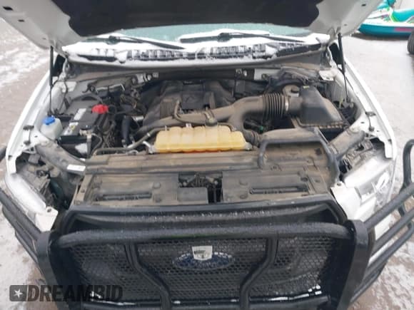 ✅ 2017 Ford F-150 XL • VIN: 1FTMF1EP9HKE13644 • Lot: 41538146. Listed on IAAI with 70,575 mi. Free auction sales archive from the USA and detailed vehicle history report at DreamBid. Image 10.