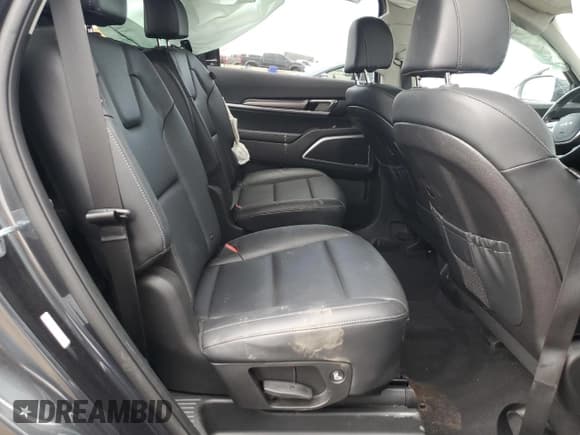 ✅ 2024 Kia Telluride S • VIN: 5XYP6DGC7RG416462 • Лот: 59330725. Опубликован ранее на Copart с пробегом 34 021 миль. Бесплатный доступ к архиву аукционных продаж из США и подробный отчёт об истории автомобиля на DreamBid. Изображение 11.