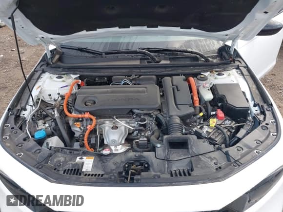 ✅ 2024 Honda Accord Sport • VIN: 1HGCY2F53RA010101 • Lot: 43517781. Wystawiony na IAAI z przebiegiem 23 248 mil. Bezpłatny archiwum sprzedaży aukcyjnych z USA i szczegółowy raport historii pojazdu na DreamBid. Zdjęcie 10.